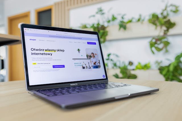Website development